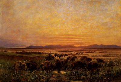 Eugene Frank : Buffalo at Sunset