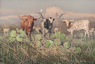 David Sanders : King Ranch Longhorns