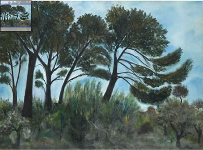 Isaac Antcher : PAYSAGE DE ST TROPEZ