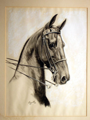 Edwin Bogucki : Three-Gaited