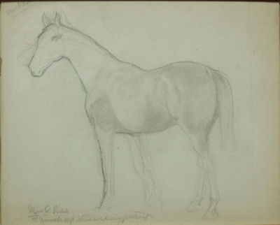 sample from American Saddlebred Museum (07/14/2007)