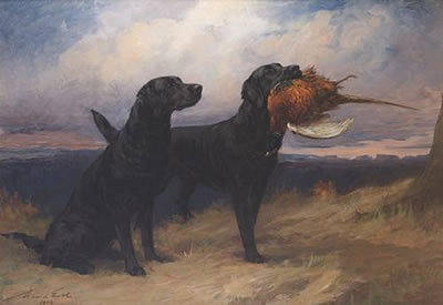 Maud Earl : Portrait of the Black Labrador 'Peter of Faskally' holding a cock pheasant, with his mate 'Dungavel Jet' in a landscape