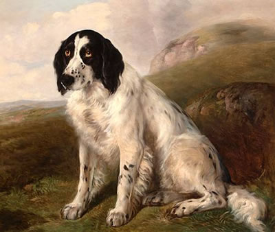 Walter Harrowing : A Spaniel in an extensive landscape