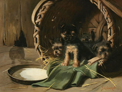 Sidney Brackett : Basket full of puppies