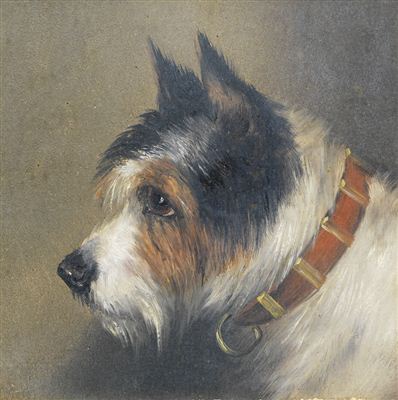 Edward Aistrop : A black and tan Terrier; A black, white and tan Terrier: Two