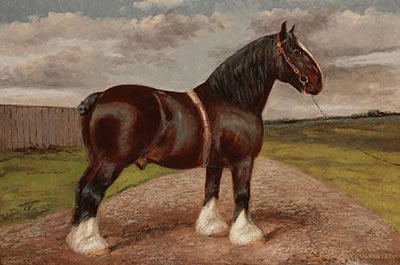 Albert Clark : The Shirehorse 'Birdsall Menestrel'