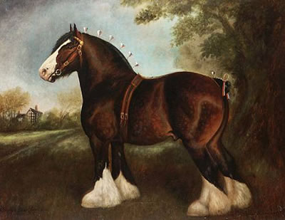 Herbert St John Jones : The Shire stallion 'Chorlton Fear None'