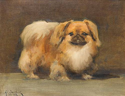 Albert Ernest Brockbank : A Pekingese