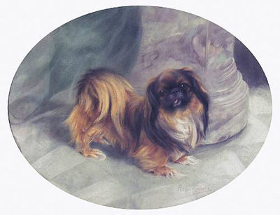 Persis Kirmse : Pekingese