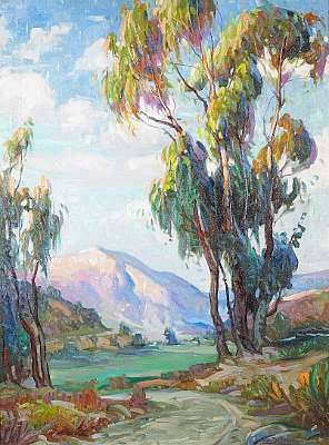 Christian Von Schneidau : Sunset Glow on Eucalyptus trees