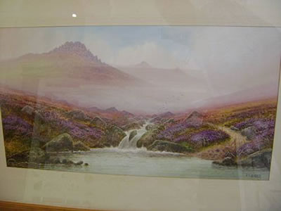 Douglas H Pinder : Tavy Cleave, Dartmoor