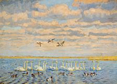 Johannes Larsen : Swans and ducks