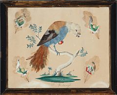 Wilhelm Kiebitz : Birds (2)