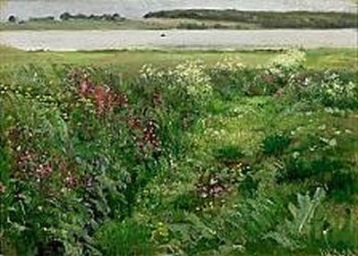 Johan Ulrik Bredsdorff : Wild Flowers at a Fiord