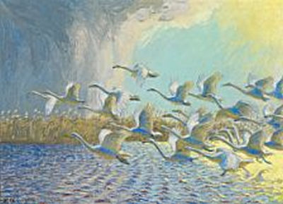 Johannes Larsen : A group of swans taking off in the morning light