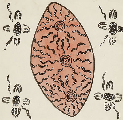 Richard Moketarinja : Untitled (Designs Associated with the Catepillar Dreaming [Ayeparenye Atyerre] from Mt Zeil [Urlatherrke])  (2)