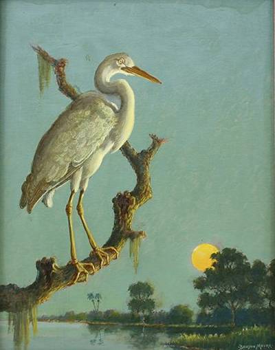 Benson Bond Moore : Great White Heron