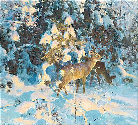 Thure Wallner : Roe deer in snowy forest