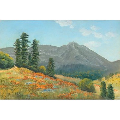 Edwin Siegfried : Mt. Tamalpais