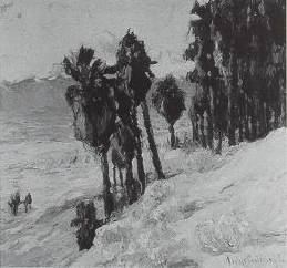 Anni Von Westrum Baldaugh : Desert Palms