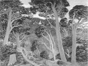 Theodore Morrow Criley : Cypresses, Carmel Highlands