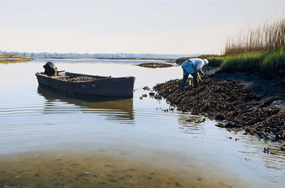 Michael Harrell : OYSTER HARVEST