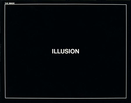 Antonio Dias : The Image, illusion