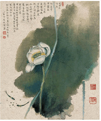 Miaozi Huang : LOTUS BLOSSOM