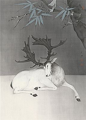 Jinguo Li : ELK