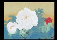 Nori Oya : Red and White Peony