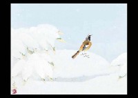 Yoshiki Nonouchi : Snow