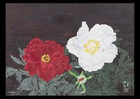 Kazuaki Nojima : Peony