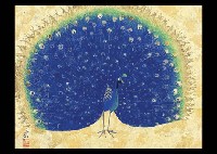 Sanrei Kodama : Peacock