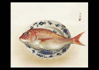 Daijo Aoki : Bream