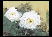 Nori Oya : Two Peony