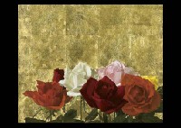 Hiroshi Noda : Roses