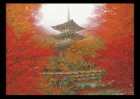 Nori Shimizu : Autumn in Saimyoji