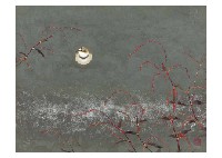 Toshio Nishiuchi : Water pepper and birds