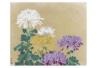 Sai Morita : Chrysanthemum