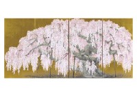 Yukihiko Kurihara : Cherry Blossoms