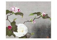 Yuki Ogura : Red and White Camellias