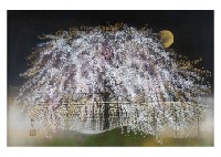 Taisuke Hamada : Daigoji Night Blossoms