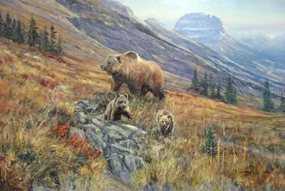 William (Bill) Bailey : Glacier Grizzly