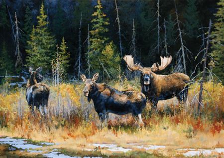 Edward DuRose : Bull Moose and Cows