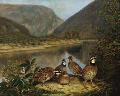 Titian Ramsay Peale : Five Bobwhites at the Delaware Water Gap