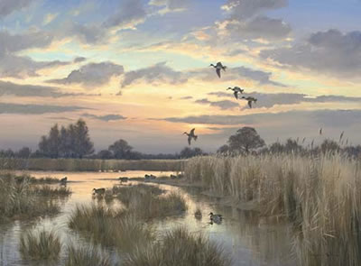 Colin W Burns : The Evening Flight, Martham, Norfolk Broads