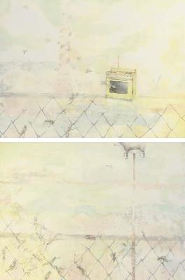 Kelly McLane : Salt (diptych)