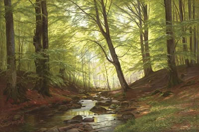 Christian Zacho : A Stream in a Forest