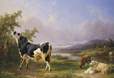 Jacques-Raymond Brascassat : BOEUFS ET MOUTONS AU PATURAGE