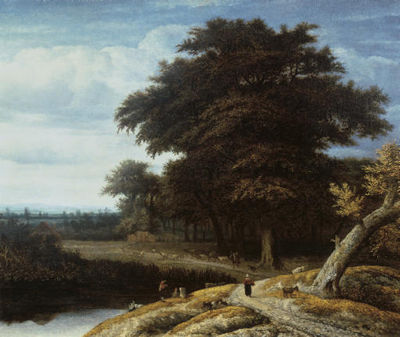 Anthonie Borssom : A wooded landscape